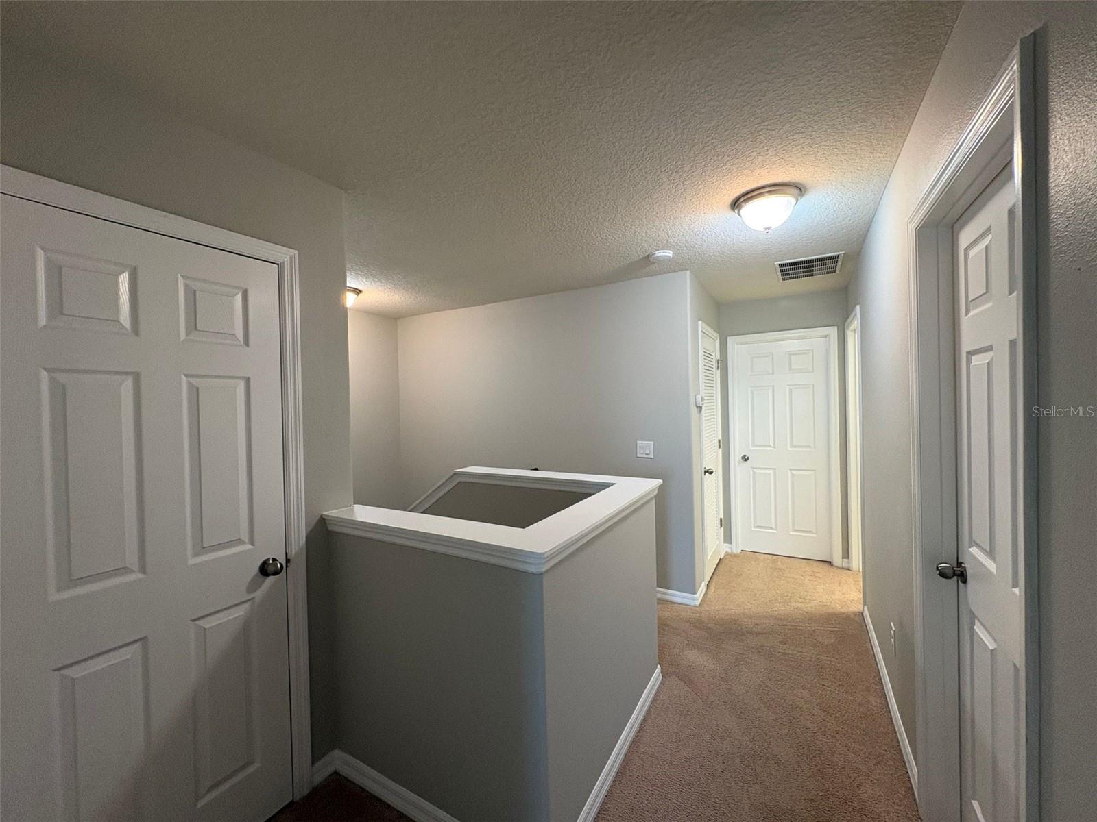 8332 Iron Mountain Trl Property Photo 20