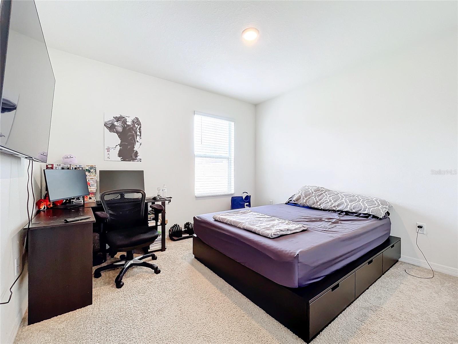 1634 Reddish Egret Ct Property Photo 17