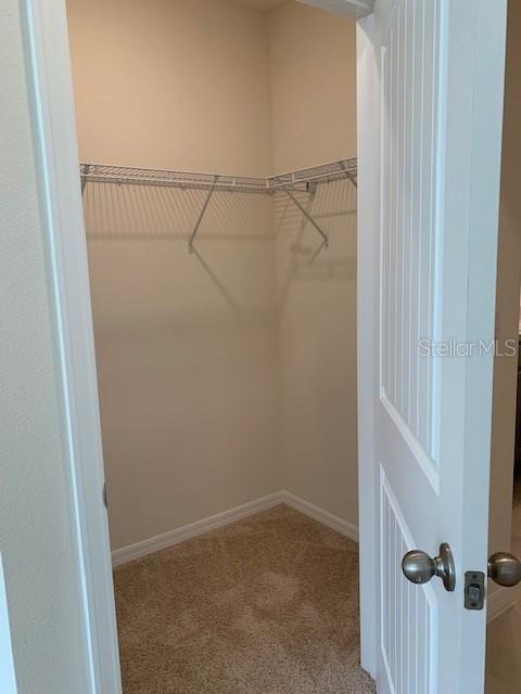 20007 Royal Tern Ct Property Photo 15