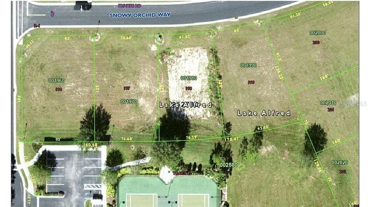 225 N Snowy Orchid Way Property Photo 1