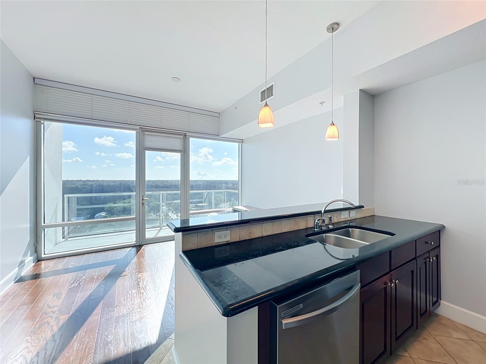 101 S Eola Dr #1008 Property Photo 33