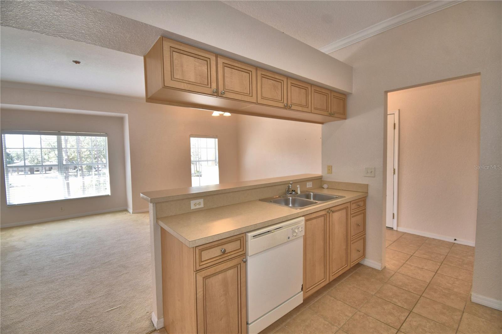 1606 Eagle Pond Dr Property Photo 3