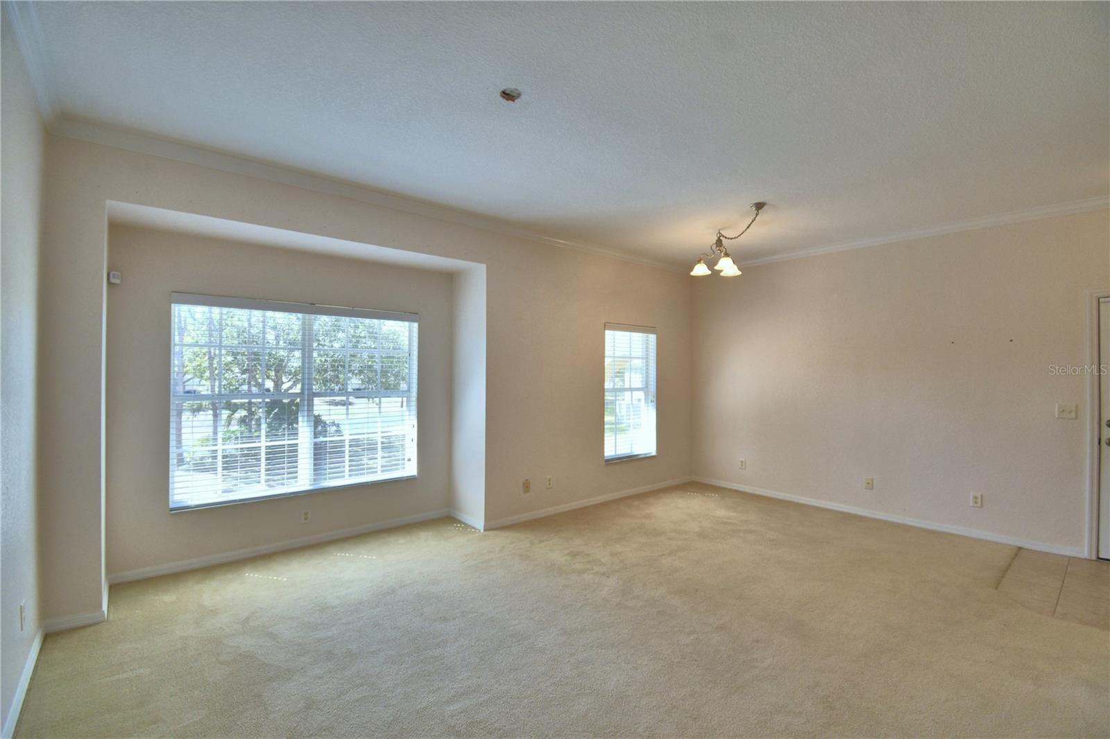 1606 Eagle Pond Dr Property Photo 7