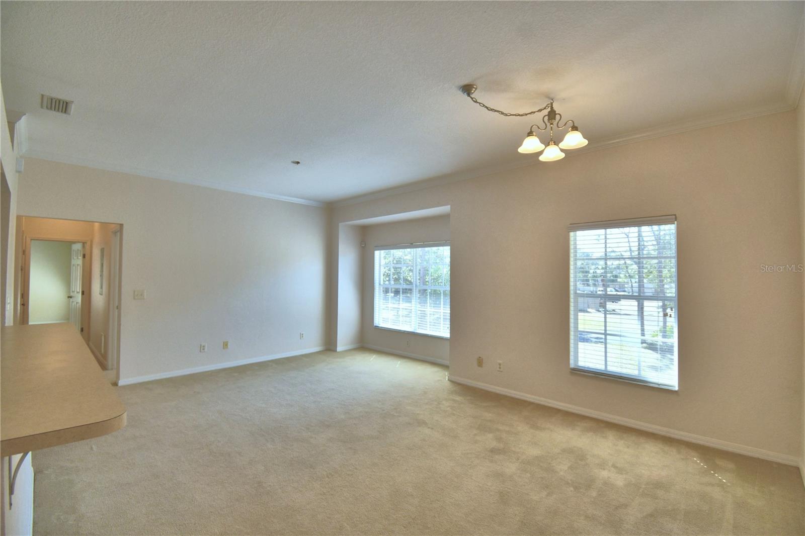 1606 Eagle Pond Dr Property Photo 18