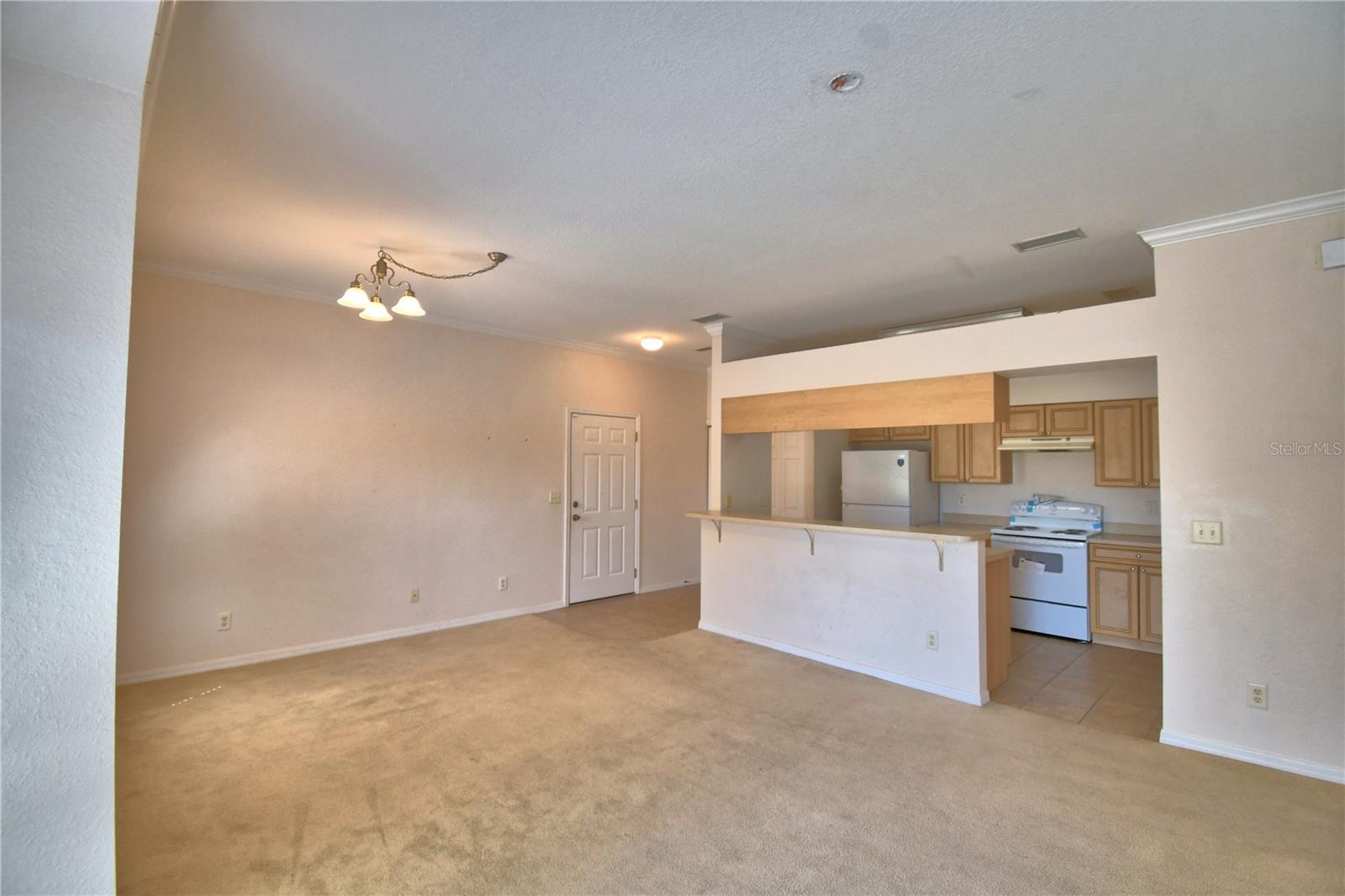 1606 Eagle Pond Dr Property Photo 24