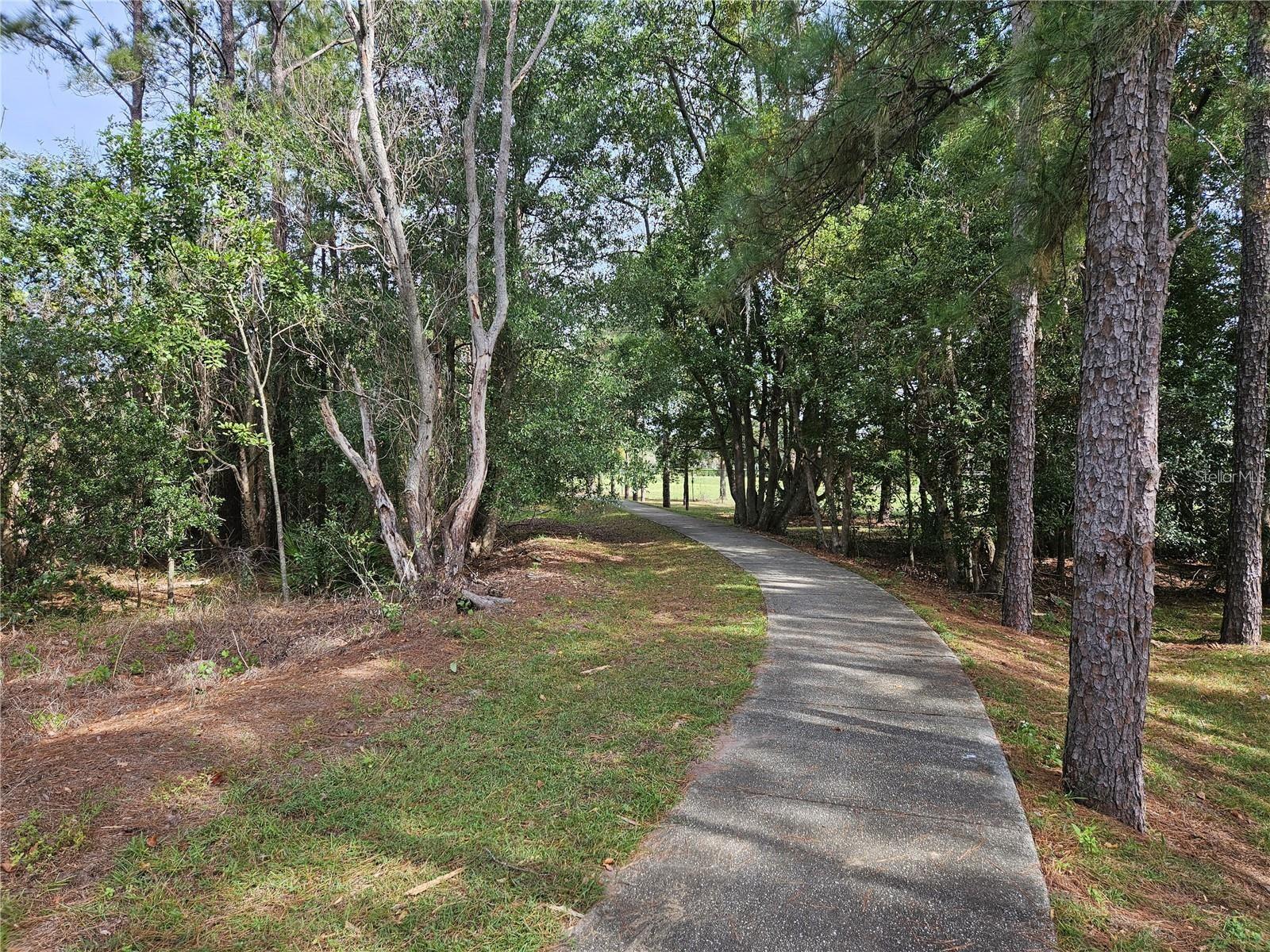 11753 Fitzgerald Butler Rd Property Photo 42