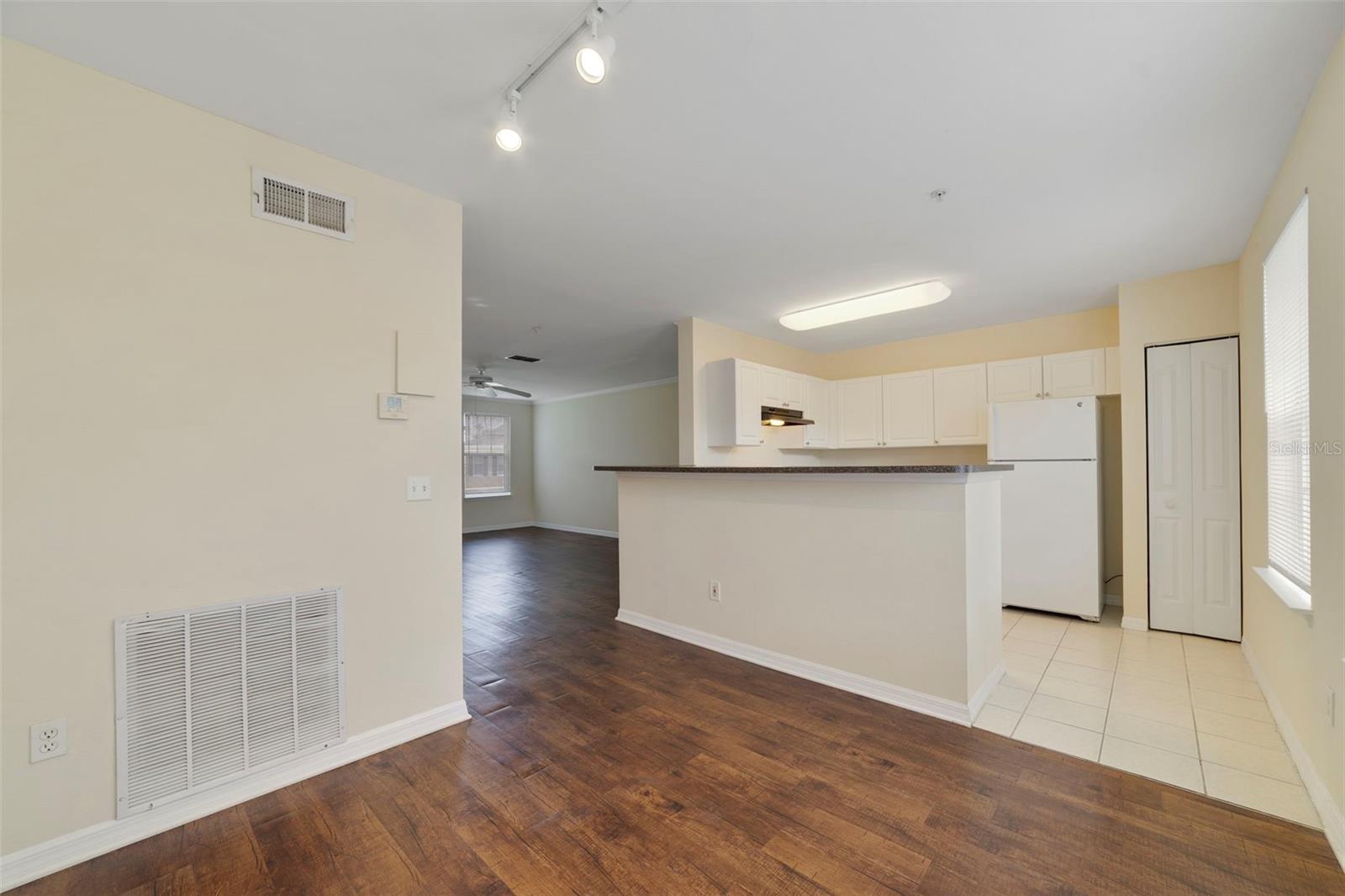 763 Siena Palm Dr Property Photo 12