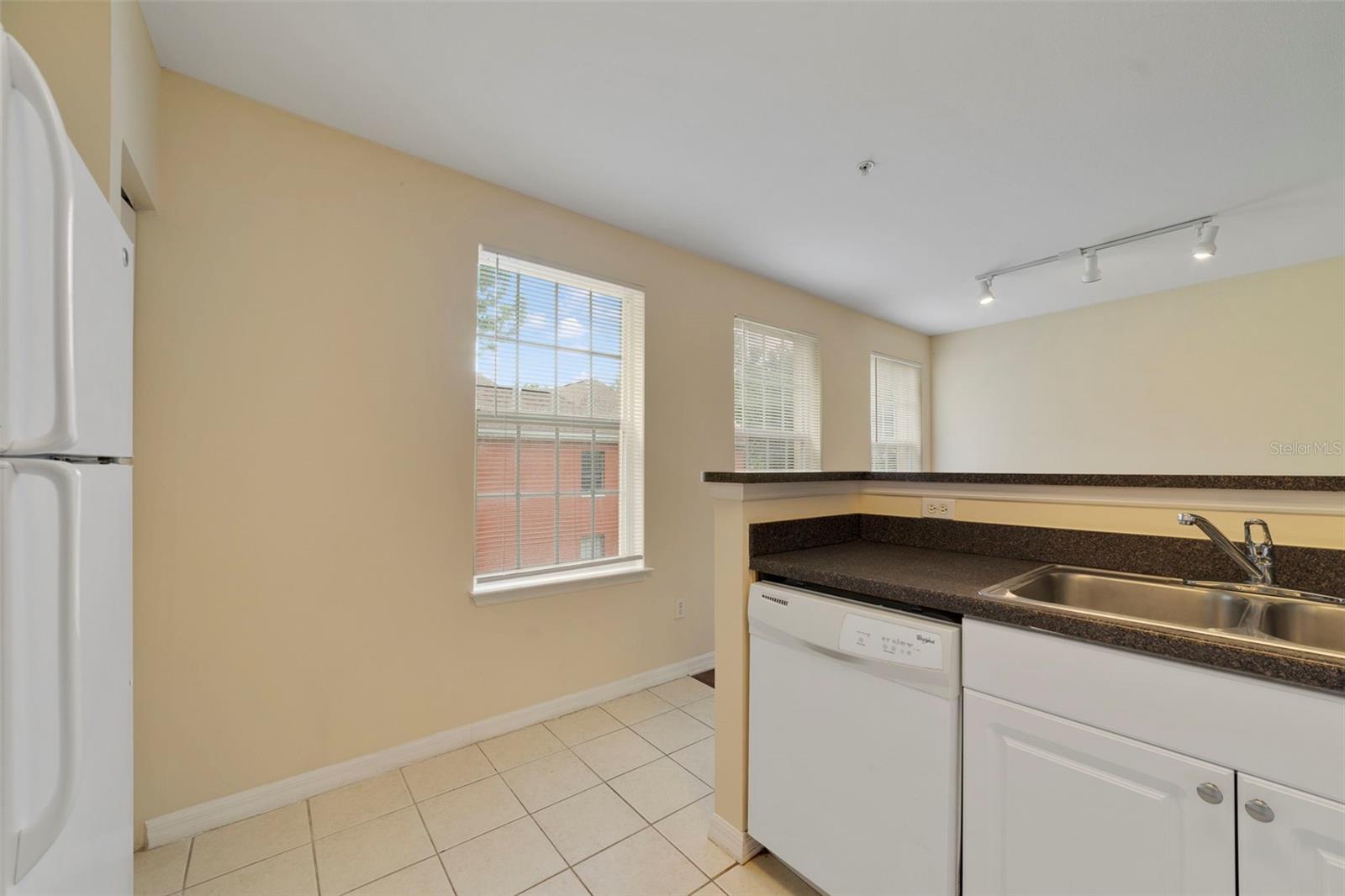 763 Siena Palm Dr Property Photo 15