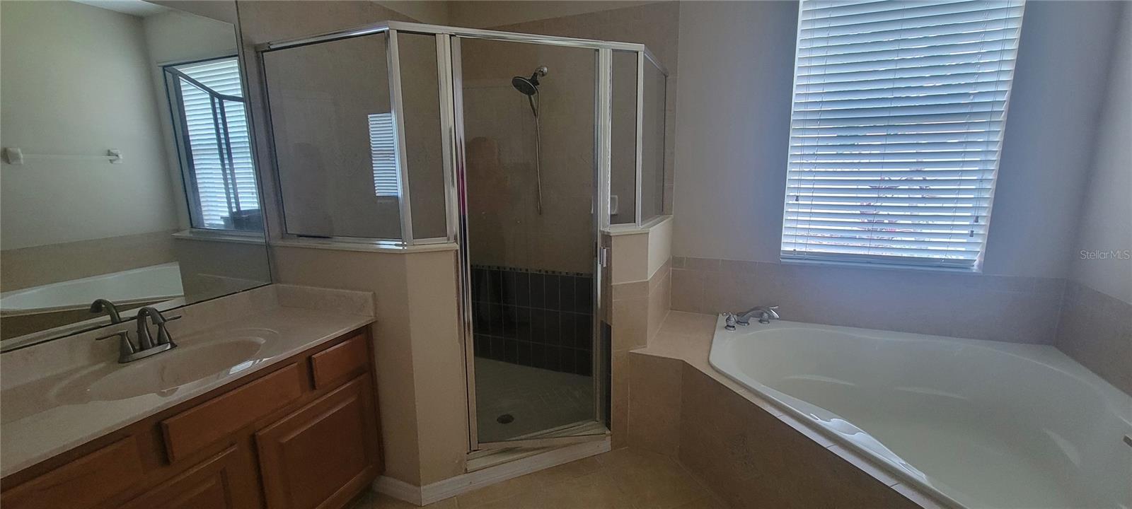 9382 Mustard Leaf Dr Property Photo 8