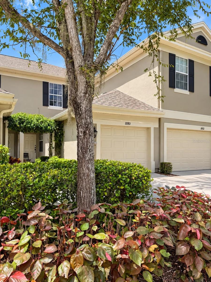 11180 WINDSOR PLACE CIR Property Photo 1