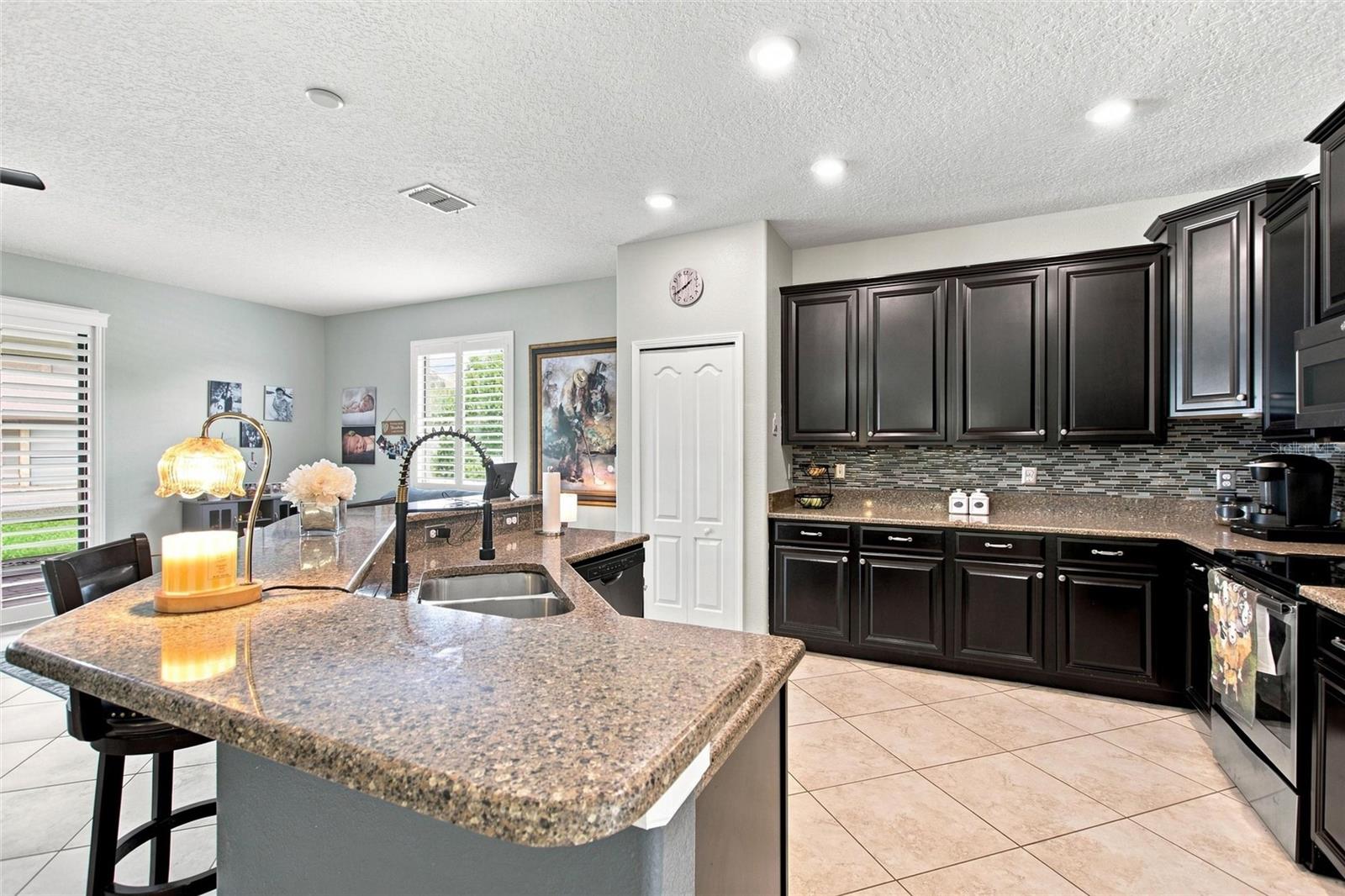 8961 Dove Valley Way Property Photo 6
