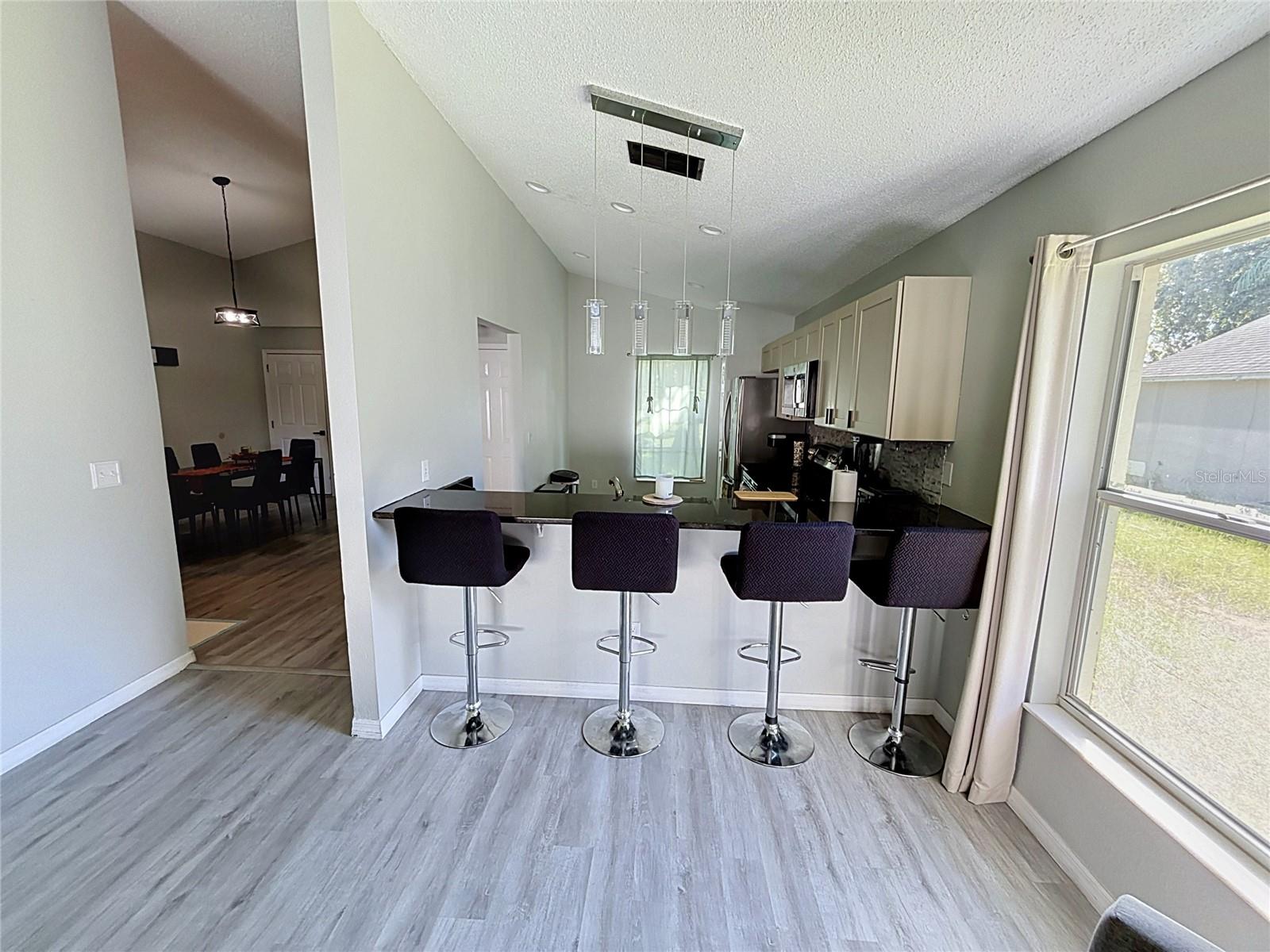 668 Durango Loop St Property Photo 14