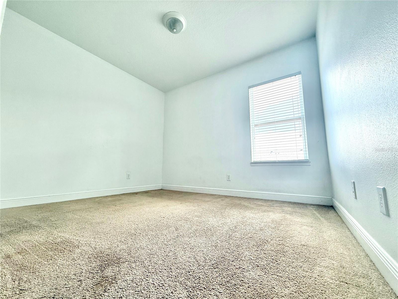 8615 Via Trieste Dr Property Photo 19