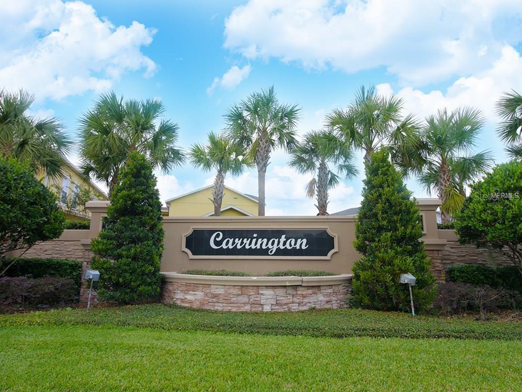 8615 Via Trieste Dr Property Photo 29