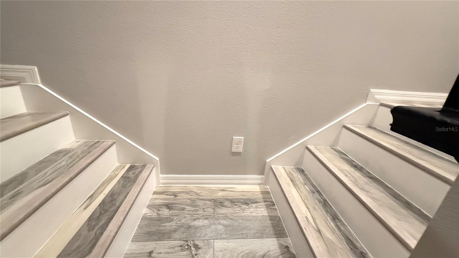 2384 Sedge Grass Way Property Photo 24