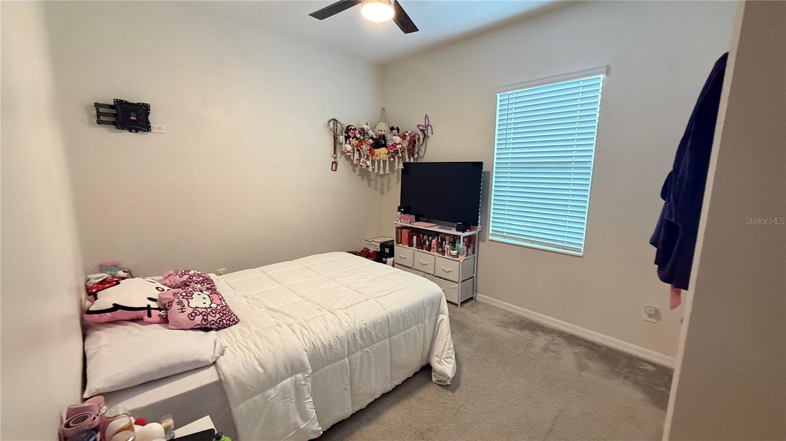 2384 Sedge Grass Way Property Photo 36