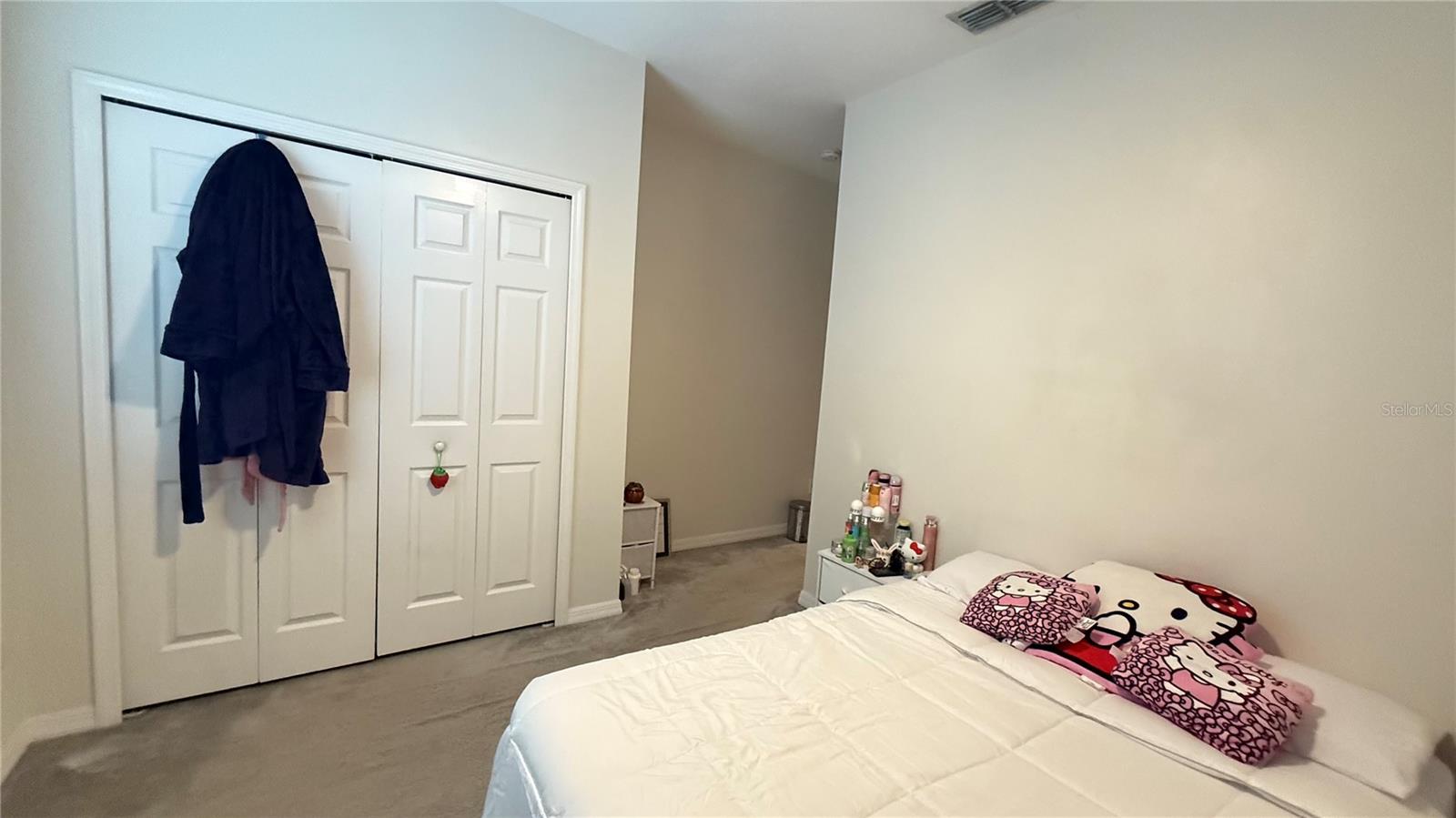 2384 Sedge Grass Way Property Photo 37
