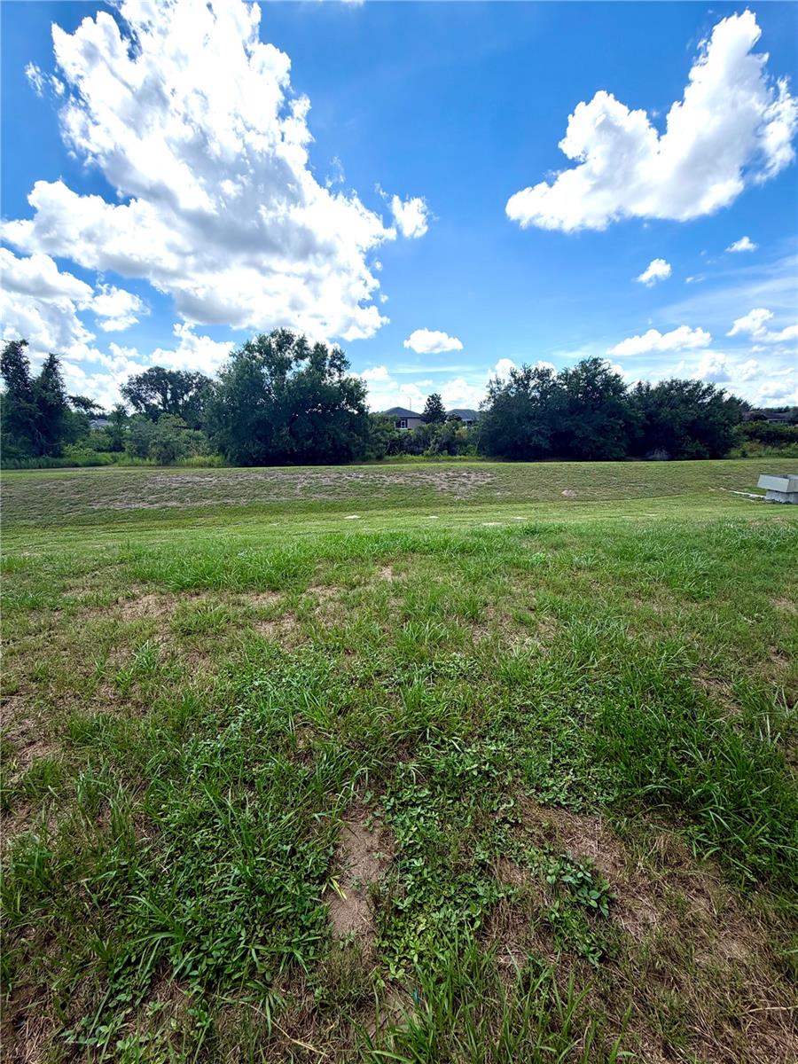 520 Highland Meadows Ave Property Photo 37