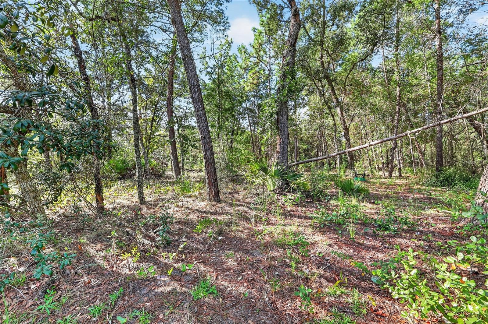 4920 W Cedar Hill St Property Photo 7