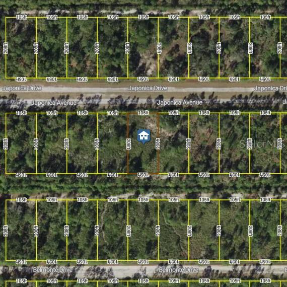 1015 Japonica Ave Property Photo 3