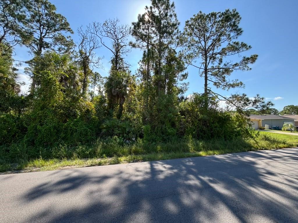 125 Hillock Ave Nw Property Photo 6
