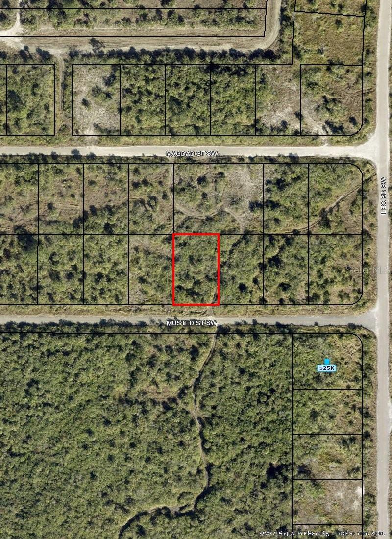 1319 Musted St Sw Property Photo 1