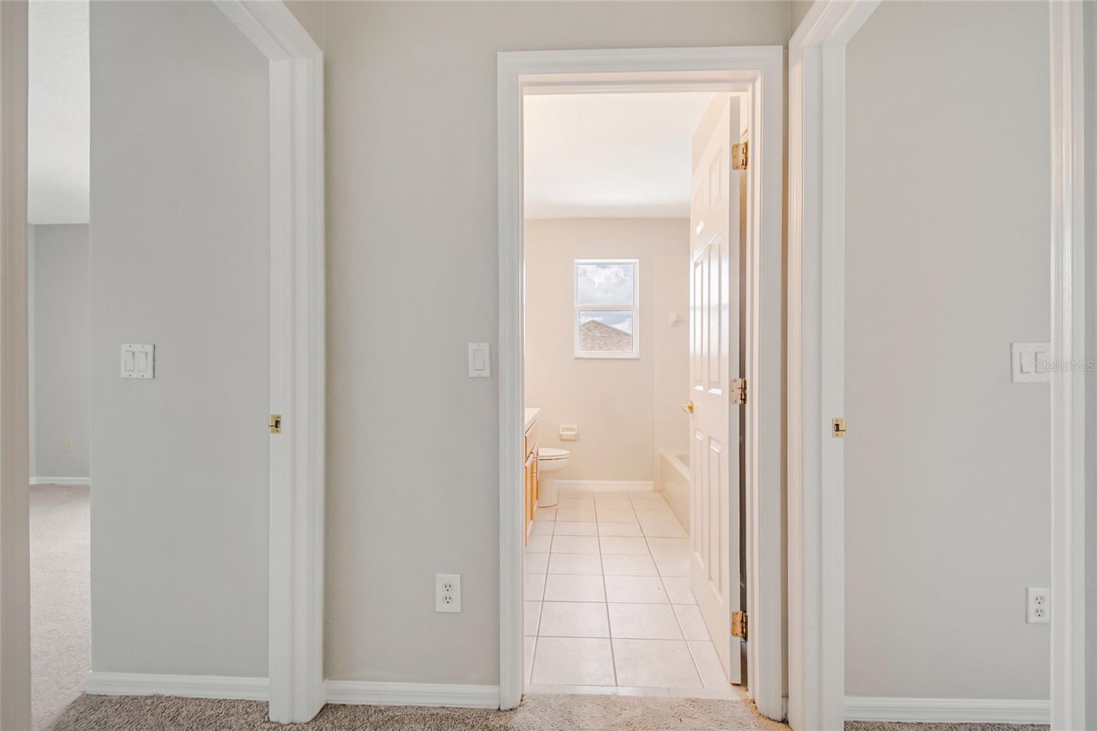 2887 Sweetspire Cir Property Photo 38