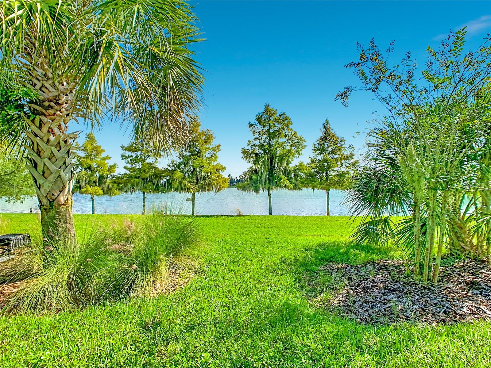 2358 Palm Tree Dr Property Photo 48
