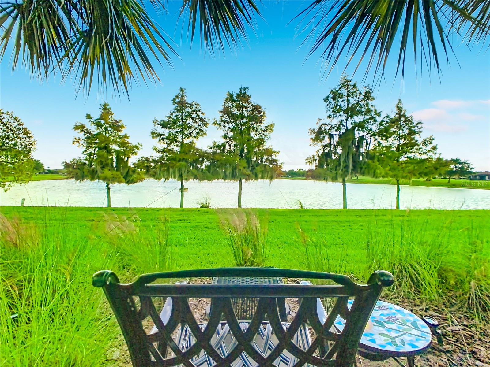 2358 Palm Tree Dr Property Photo 49