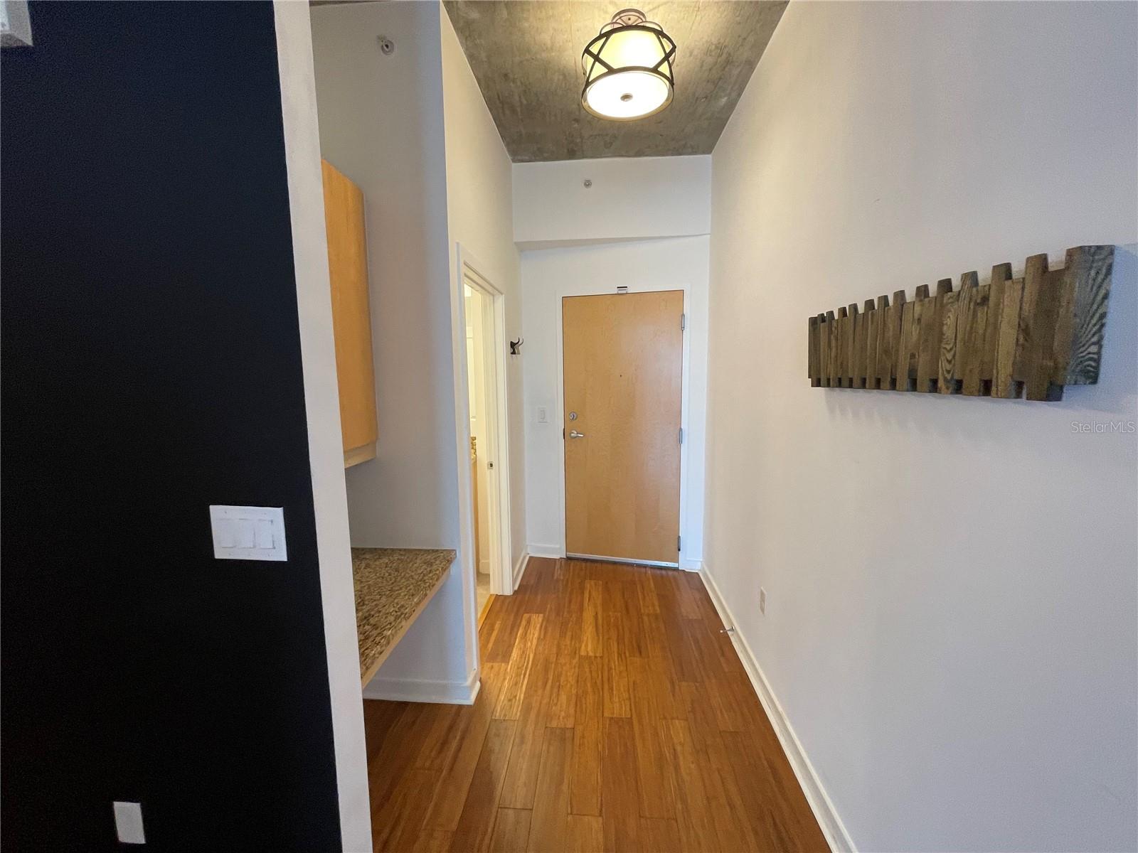 155 S Court Ave #1308 Property Photo 4