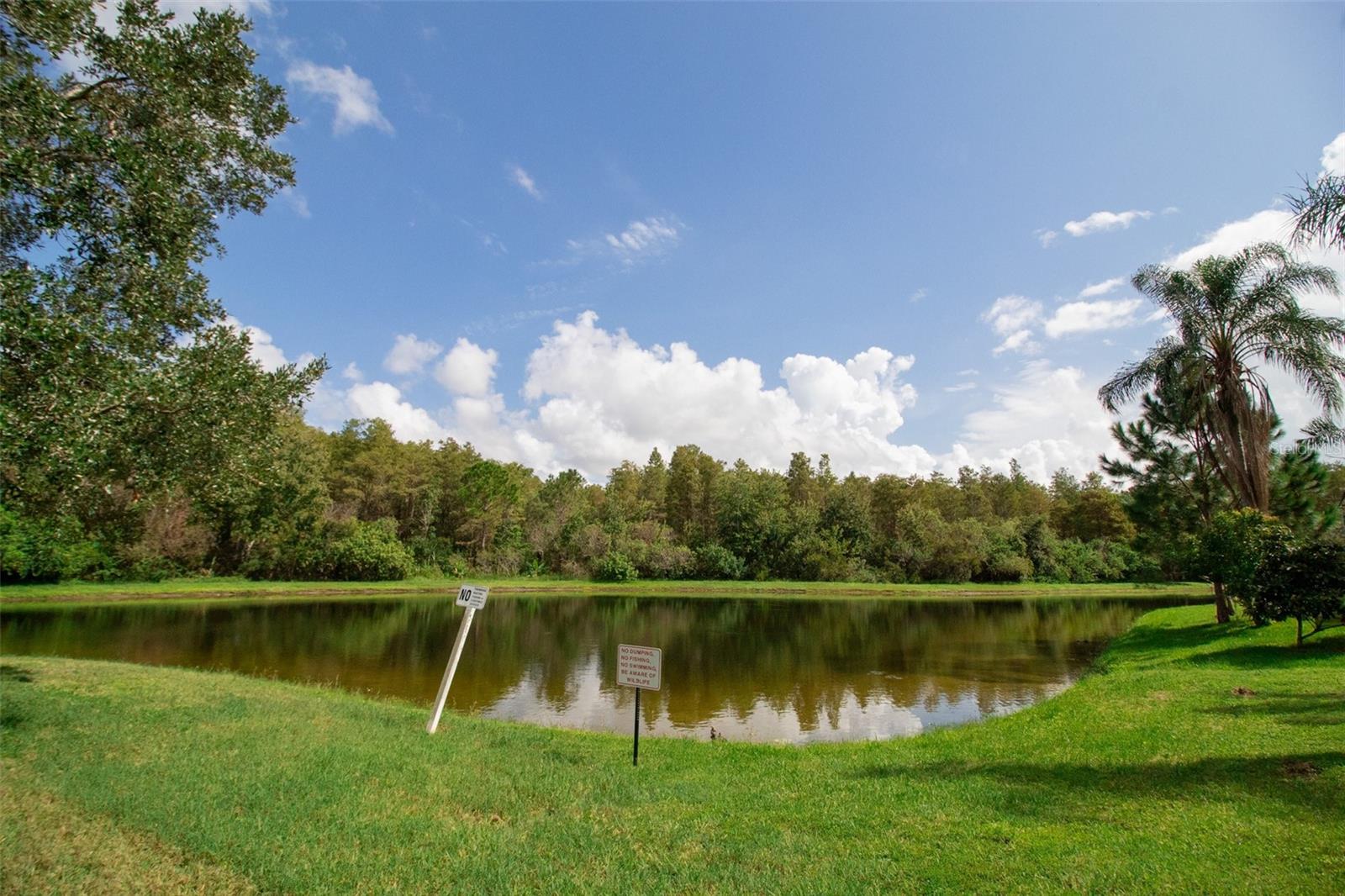 14215 Wistful Loop Property Photo 42