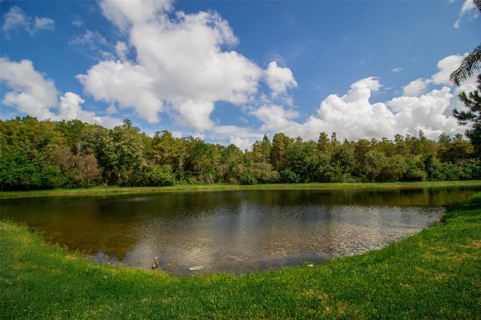 14215 Wistful Loop Property Photo 44