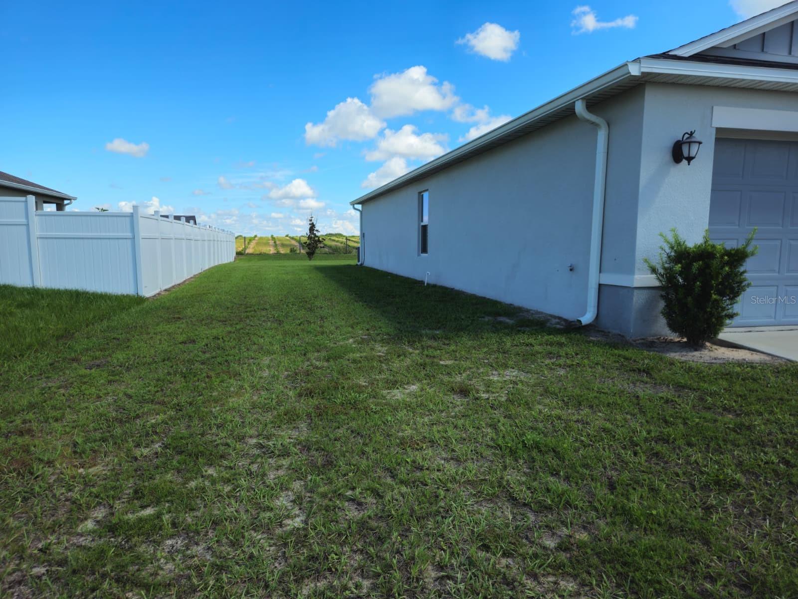 2058 Ficus St Property Photo 2
