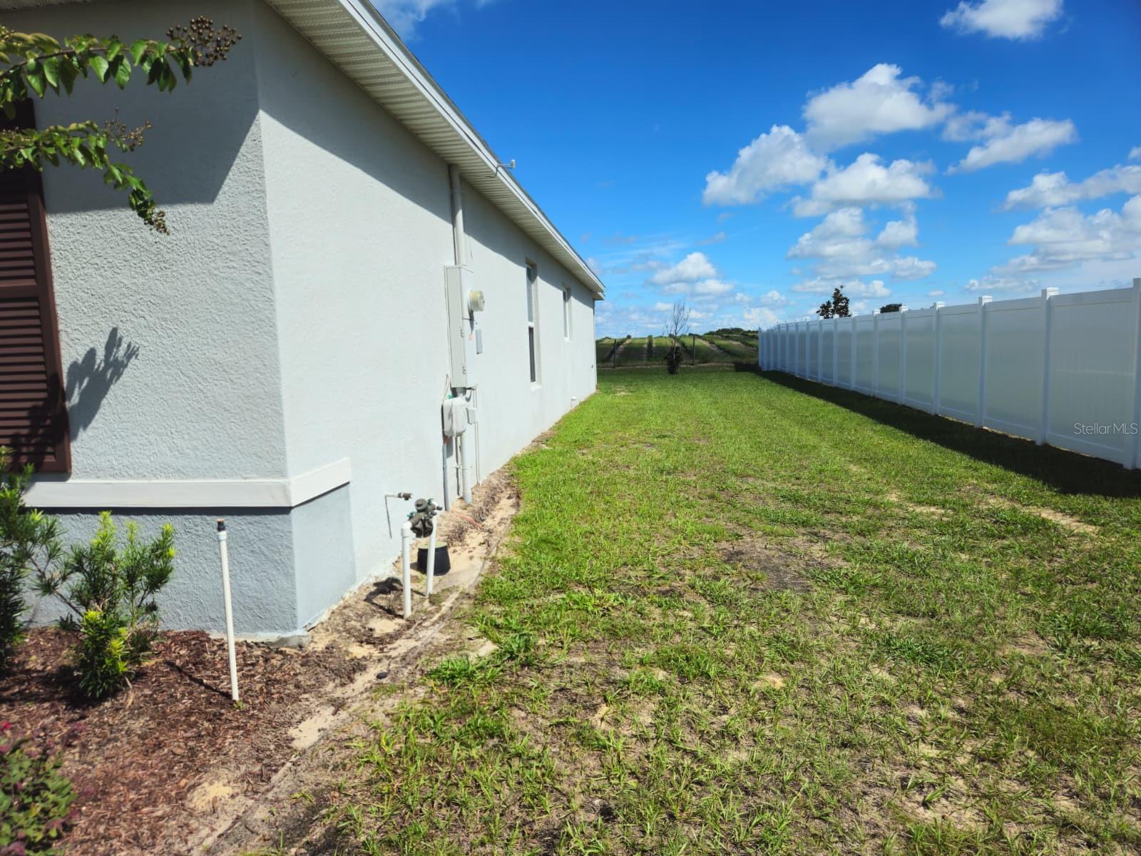 2058 Ficus St Property Photo 3