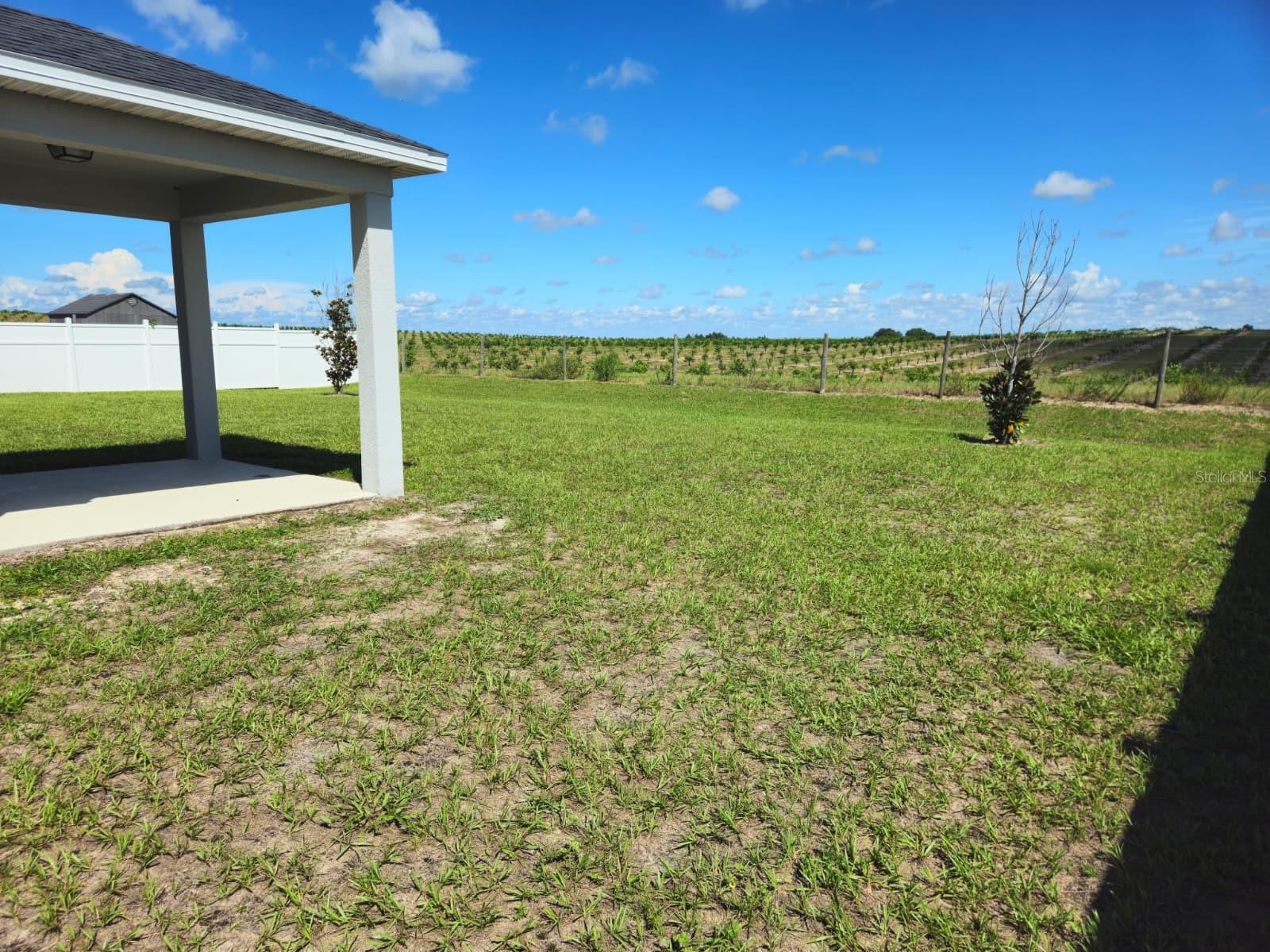 2058 Ficus St Property Photo 4