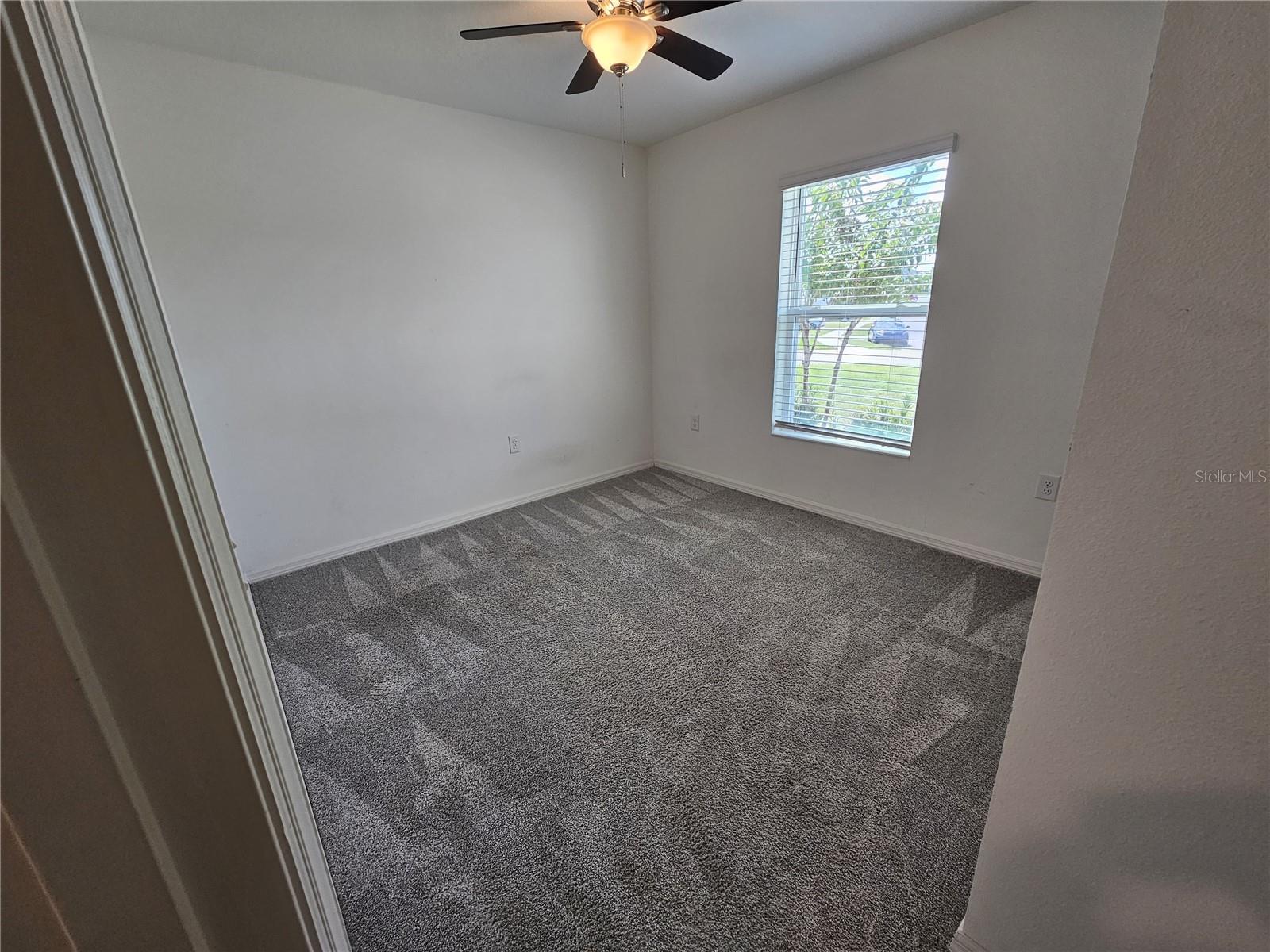 2058 Ficus St Property Photo 9