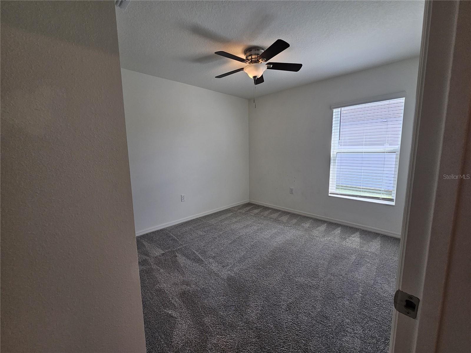2058 Ficus St Property Photo 13