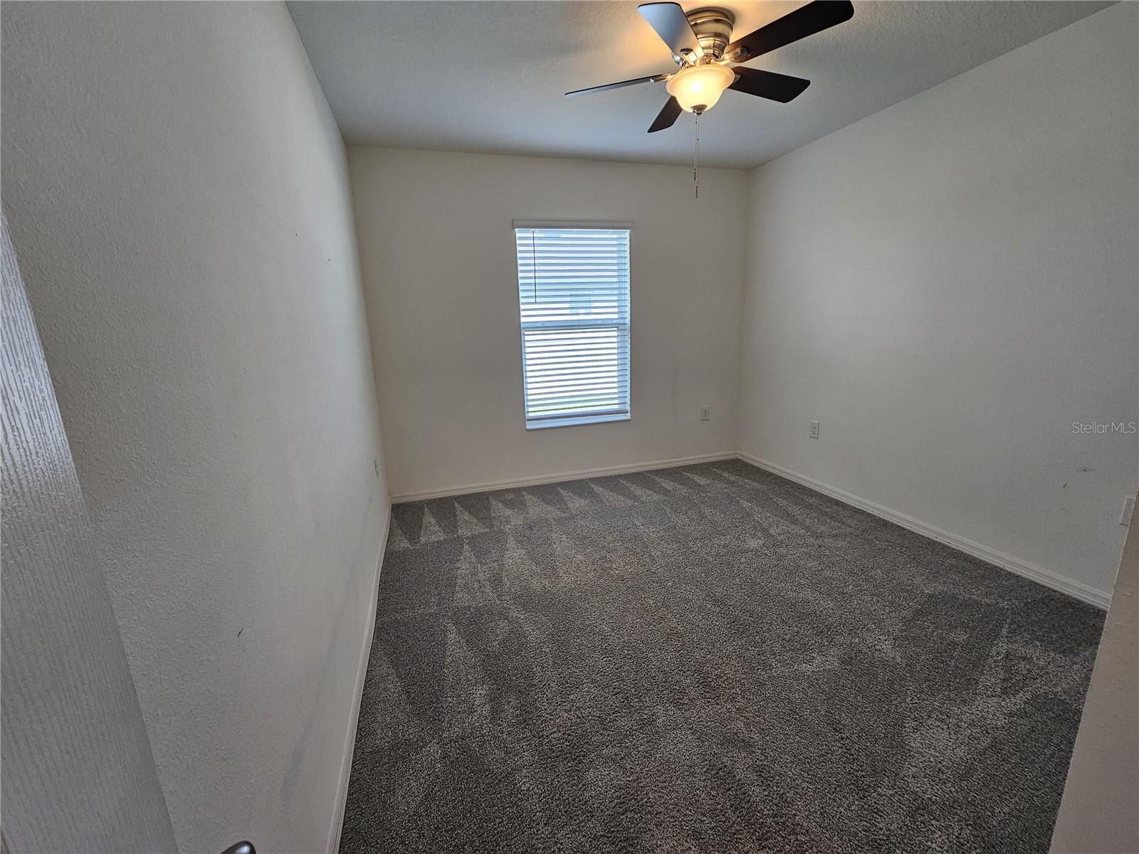 2058 Ficus St Property Photo 16