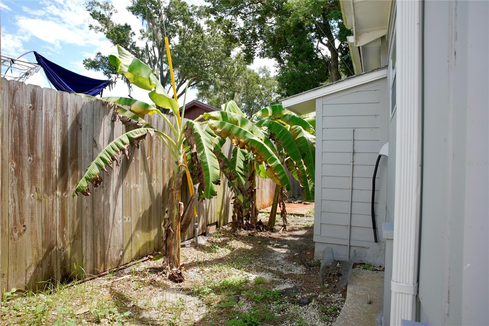 793 Eldridge St Property Photo 28