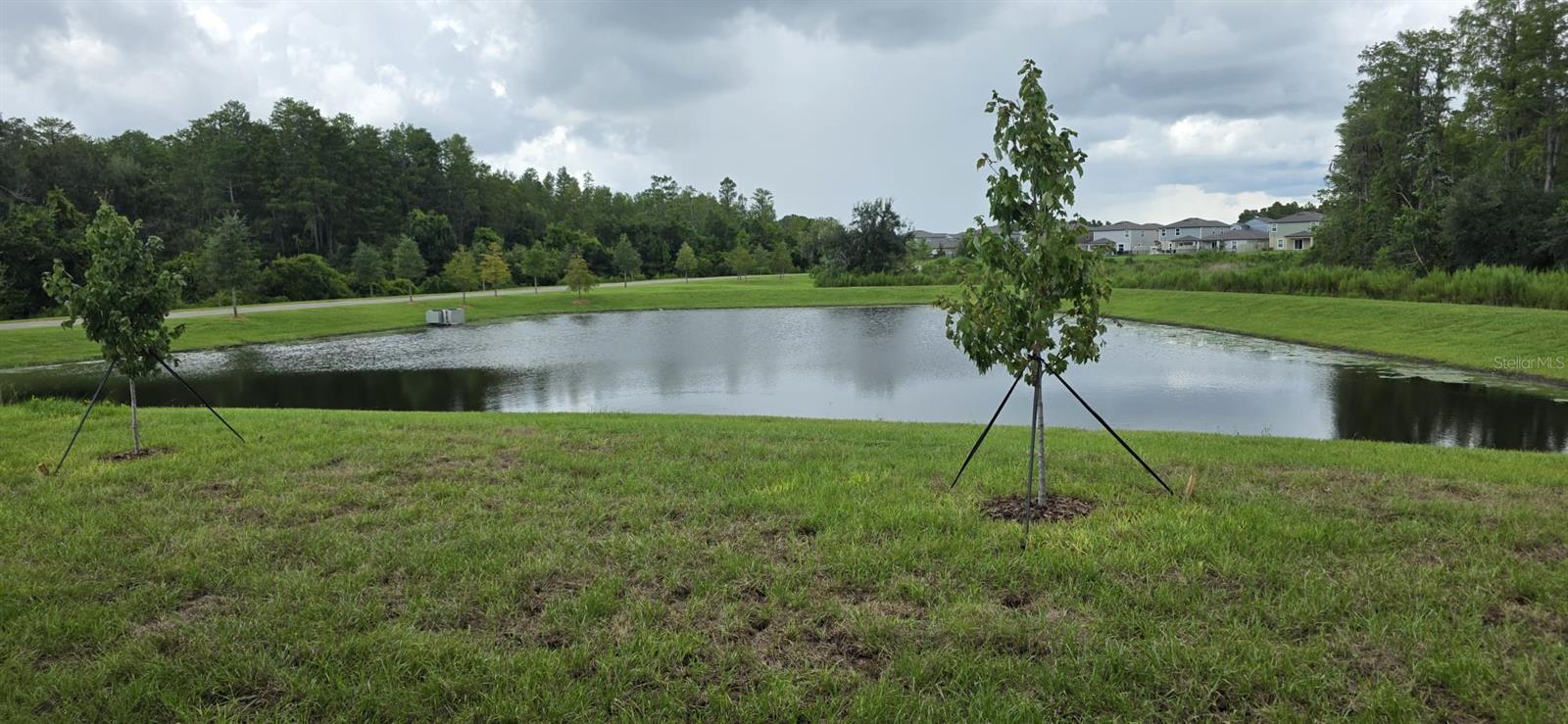 17837 17837 Grassybend Loop Property Photo 3