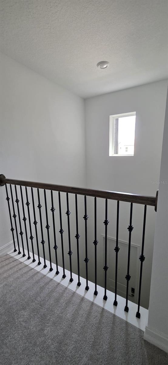17837 17837 Grassybend Loop Property Photo 12
