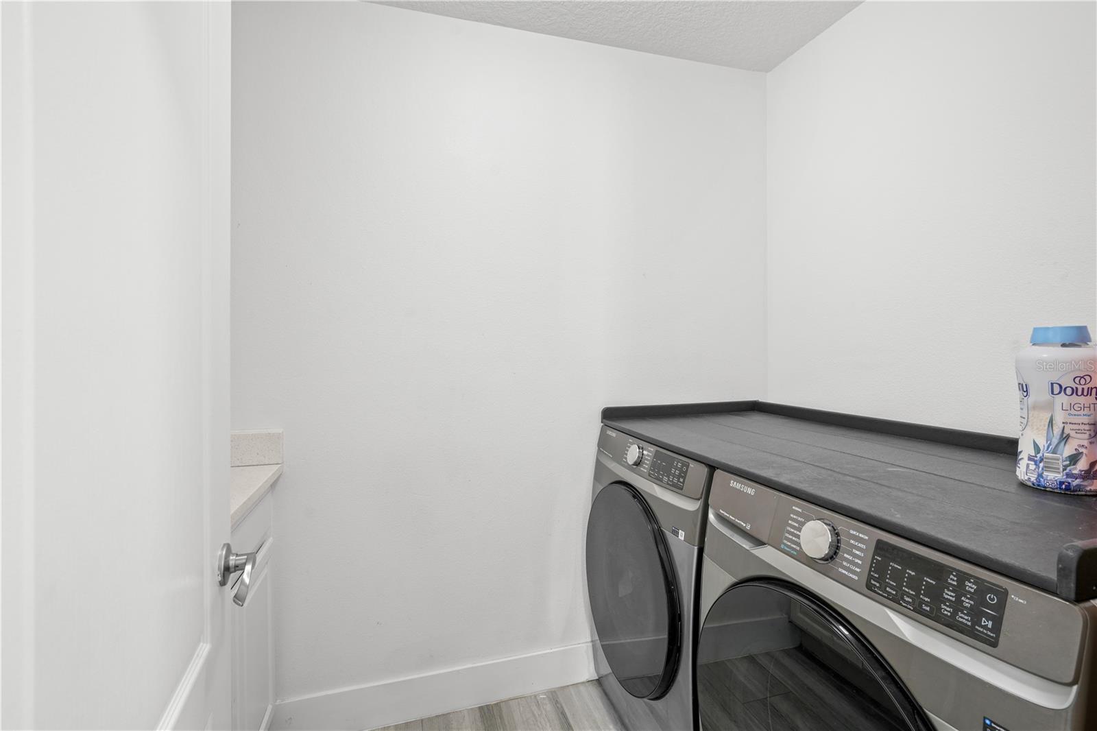 1747 Attilburgh Blvd Property Photo 44