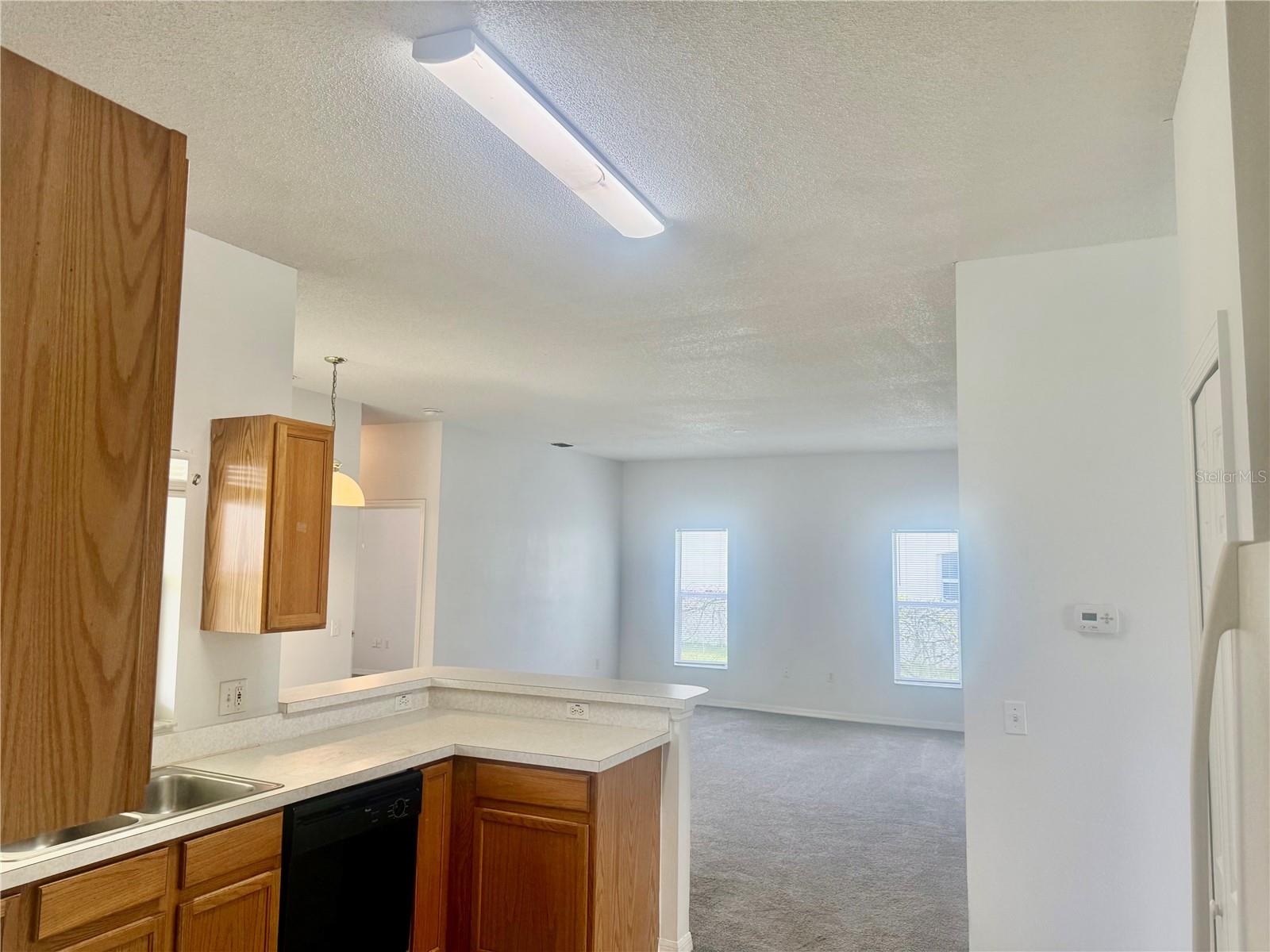 327 Alegriano Ct Property Photo 16
