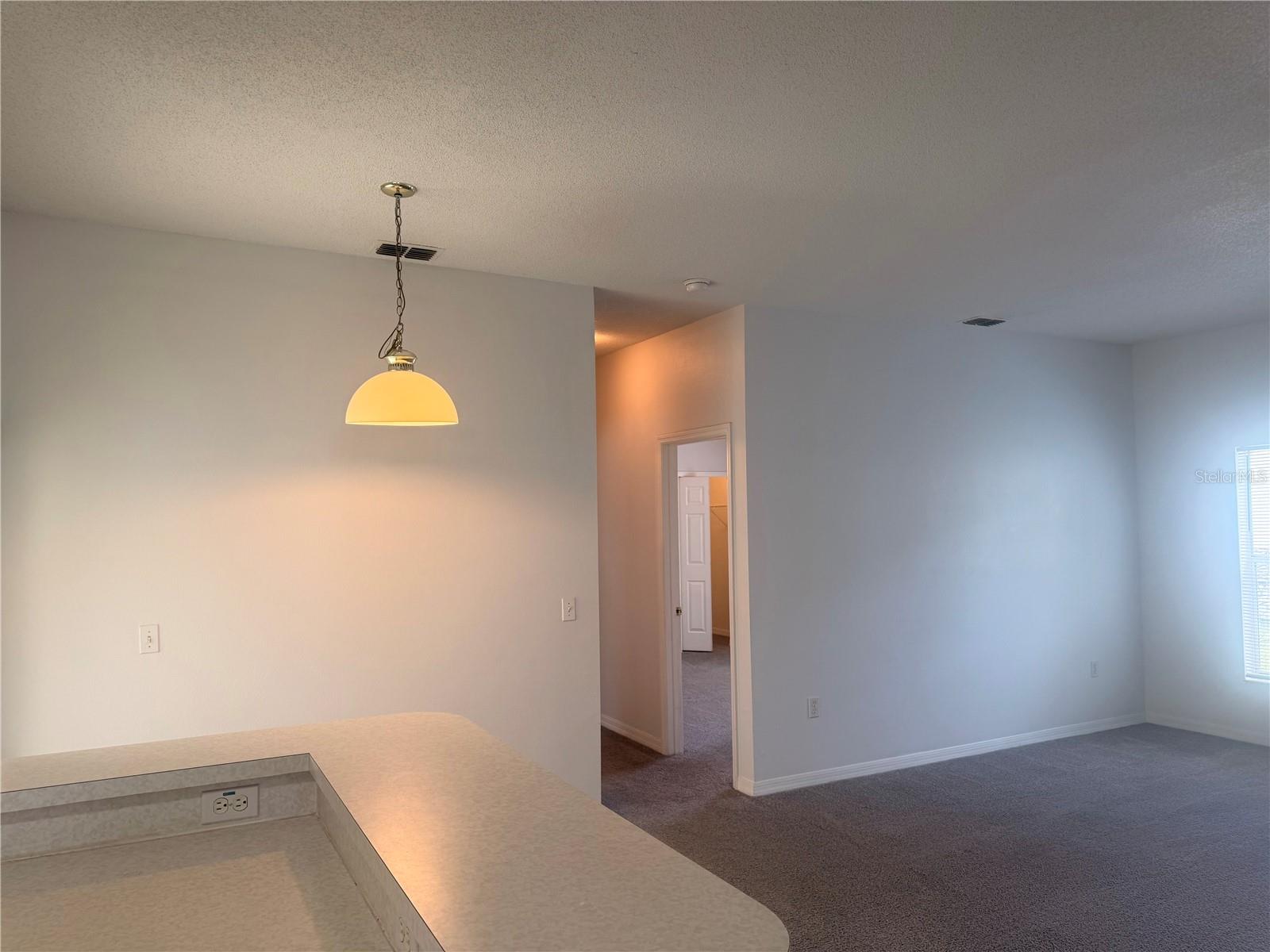 327 Alegriano Ct Property Photo 21
