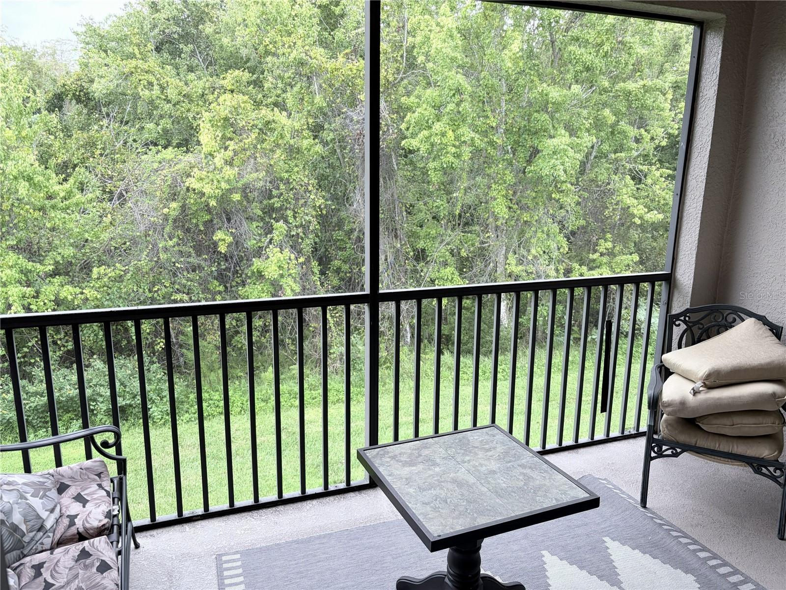 9422 Myrtle Creek Ln #812 Property Photo 19