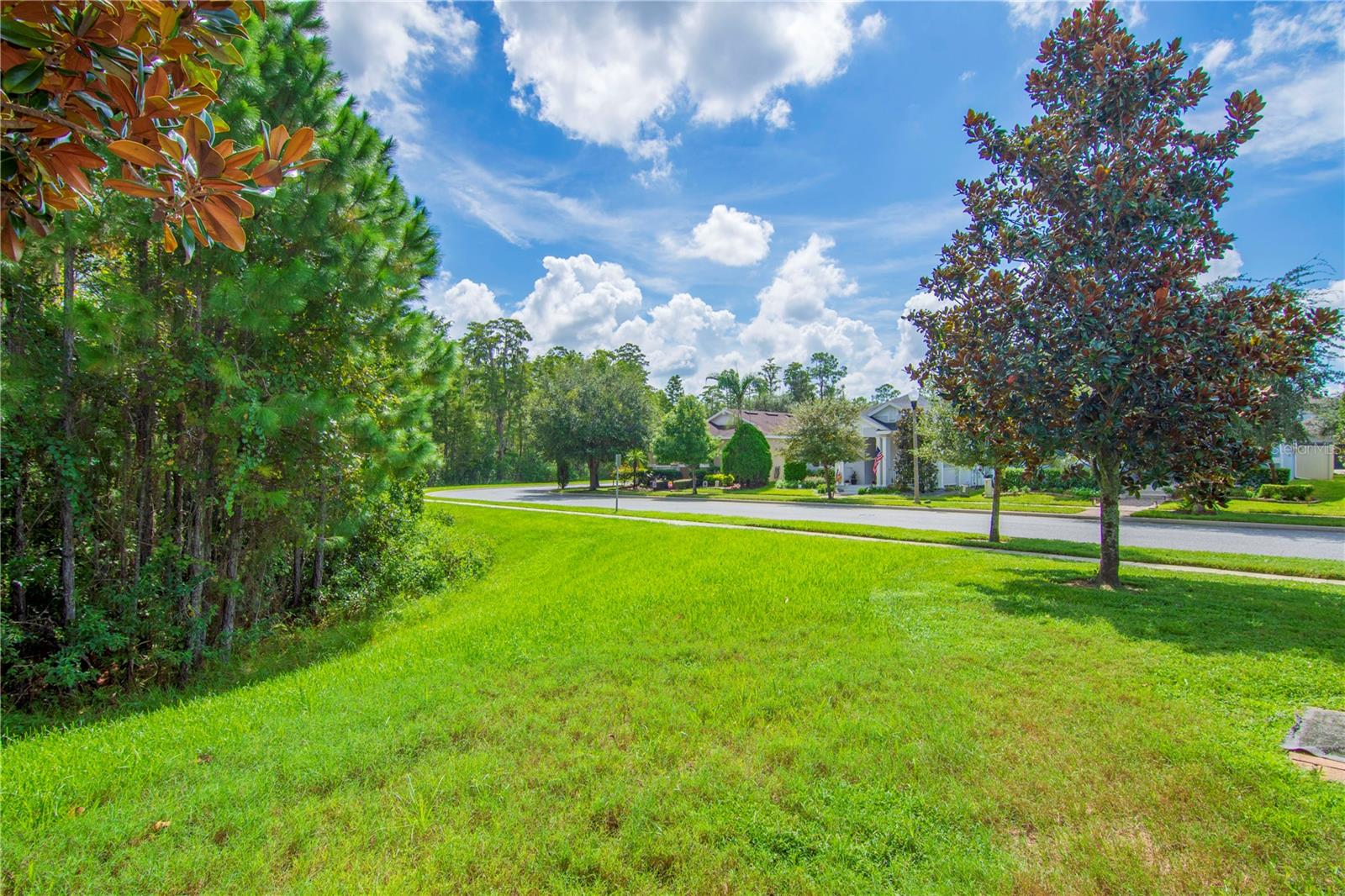 8091 Bowery Dr Property Photo 35