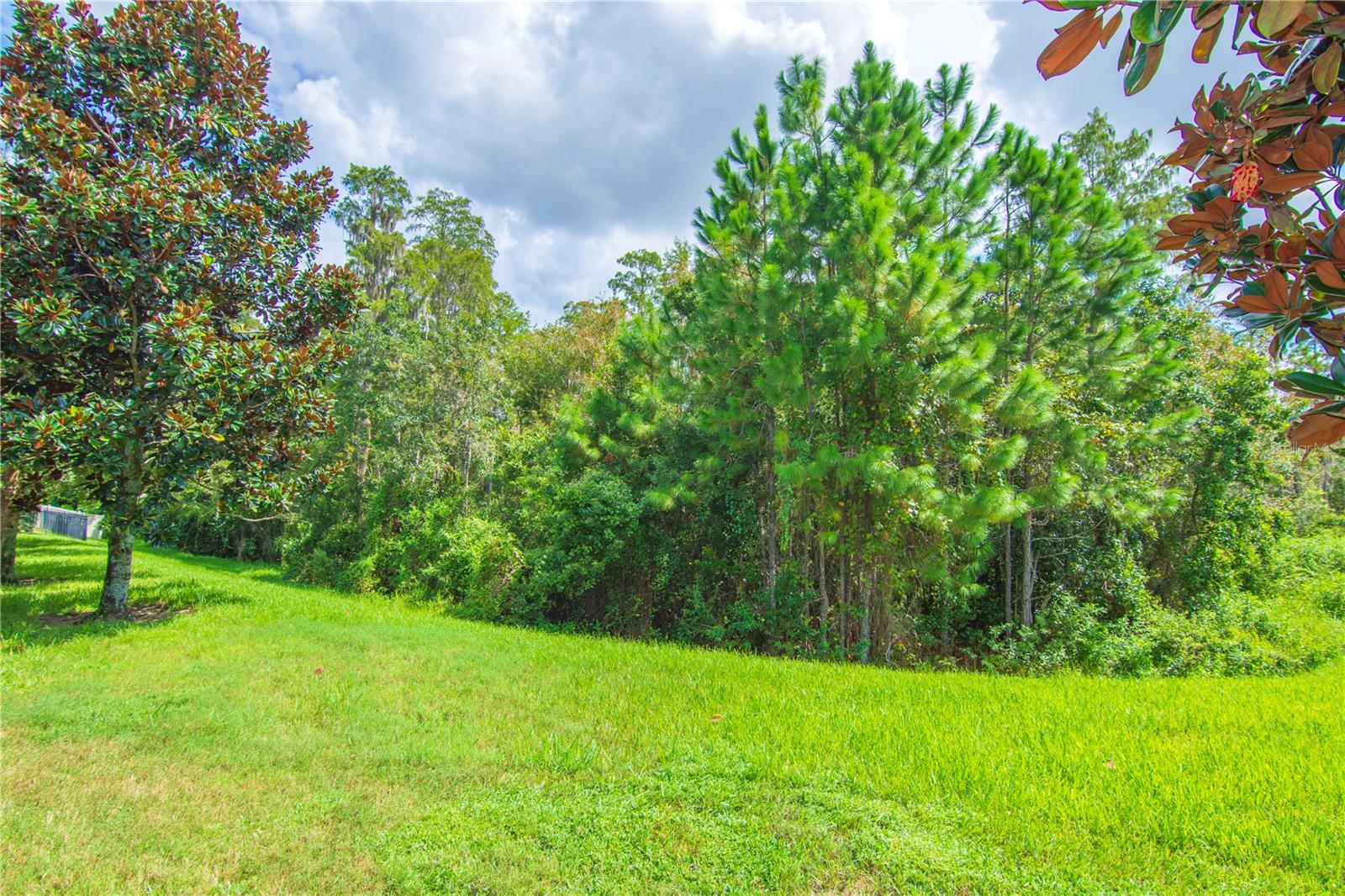 8091 Bowery Dr Property Photo 36