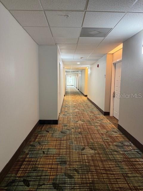 8303 Palm Pkwy #318 Property Photo 28