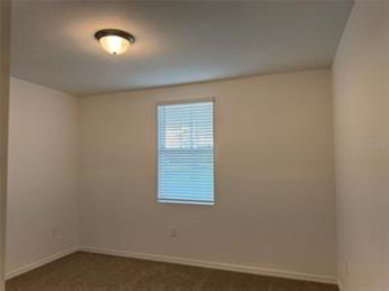 3781 Giorgio Dr Property Photo 3