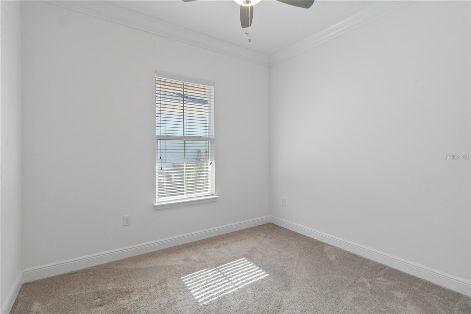 2491 Yellow Brick Rd Property Photo 37